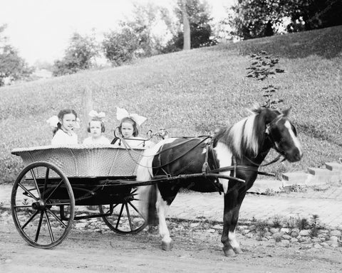 Little Girls Ride In Antique Pony Cab! Old 8x10 Reprint Of Photo - Photoseeum