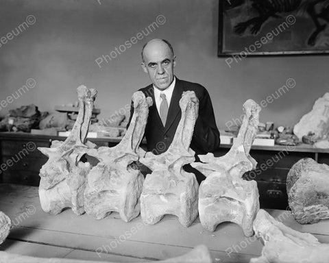 Prof & Diplodochus Dinosaur Bones 1920s 8x10 Reprint Of Old Photo - Photoseeum