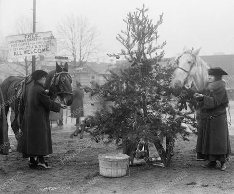 Free Christmas Dinner For Horses 1918 Vintage 8x10 Reprint Of Old Photo - Photoseeum