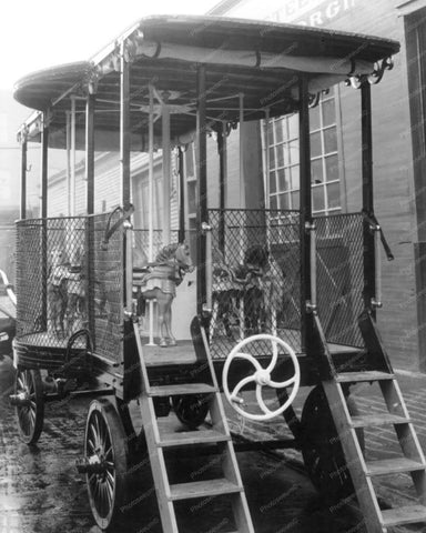 Antique Carousel Wagon New York & Horses 8x10 Reprint Of Old Photo - Photoseeum