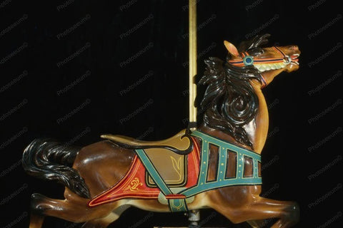 Glen Echo Dentzel Carousel Horse 1 Color 4x6 Reprint Of Old Photo - Photoseeum