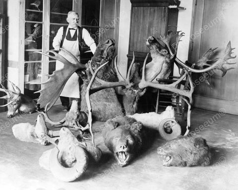 Taxidermist With Bear, Deer, Moose Heads 8x10 Reprint Of Old Photo - Photoseeum