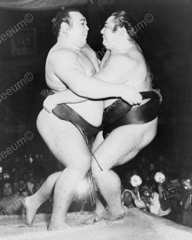 Japanese Sumo Wrestlers Vintage 8x10 Reprint Of Old Photo - Photoseeum