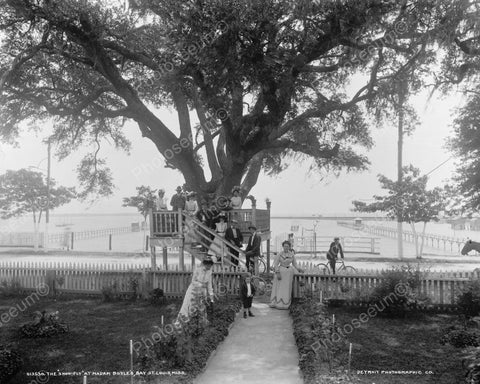 The Shoo Fly Madame Boyle's Bay Tree House Vintage 8x10 Reprint Of Old Photo - Photoseeum