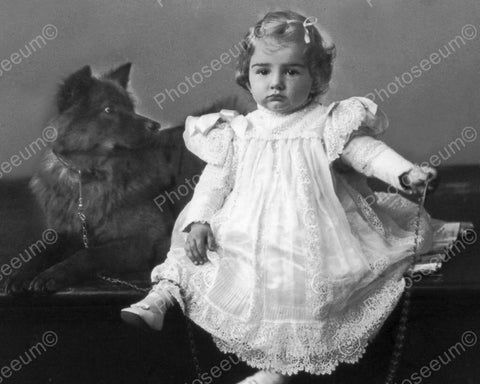 Cute Girl With Her Dog Vintage 8x10 Reprint Of Old Photo - Photoseeum
