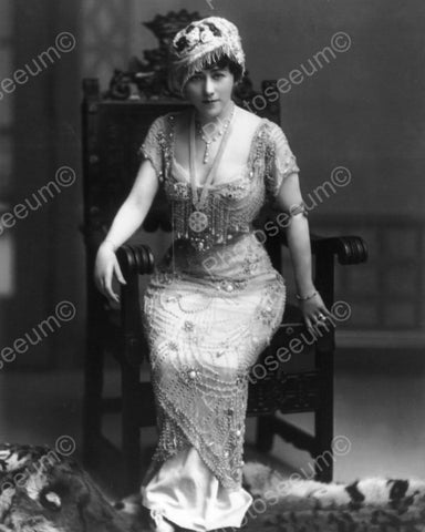 Lady In Jewelled Gown & Hat 1900s  8x10 Reprint Of Old Photo - Photoseeum
