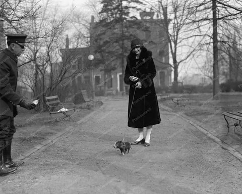 Lady Strolls With Pet Pig On Leash!! 8x10 Reprint Of Old Photo - Photoseeum