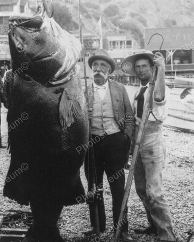 Black Sea Bass World Record Weight 384 Pounds Vintage 8x10 Reprint Of Old Photo - Photoseeum