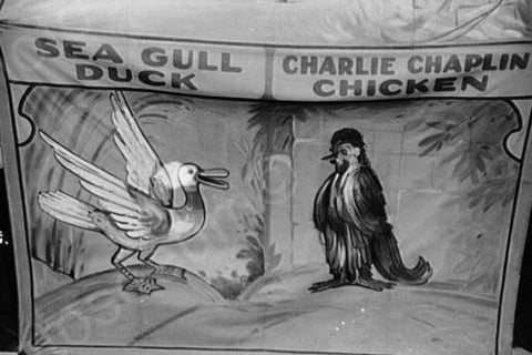 Vermont Sideshow Sea Gull Duck 1940s 4x6 Reprint Of Old Photo - Photoseeum