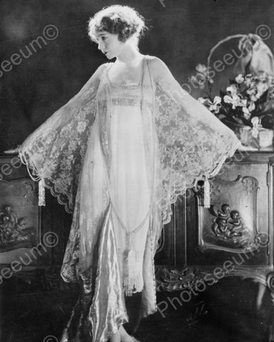 Elegant Lady In Chiffon Lace Gown 1920s 8x10 Reprint Of Old Photo - Photoseeum