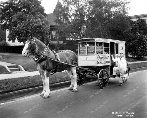 Milk Delivery man With Horse And Wagon 1935 Vintage 8x10 Reprint Of Old Photo - Photoseeum