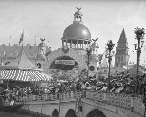 Coney Island Wormwoods Monkey Theatre Luna Park  8x10 Reprint 1906 Old  Photo - Photoseeum