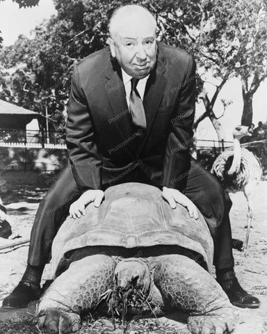 Alfred Hitchcock Rides Huge Turtle! 1960 8x10 Reprint Of Old Photo - Photoseeum
