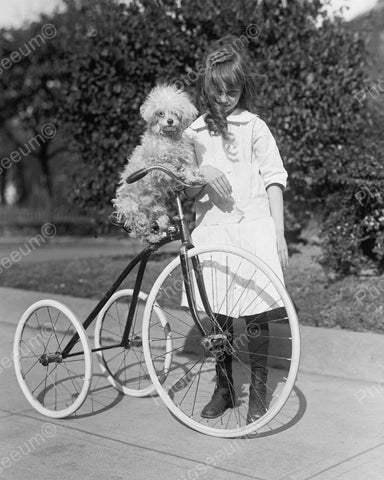 Girl With Dog On Tricycle 1917 Vintage 8x10 Reprint Of Old Photo 4 - Photoseeum
