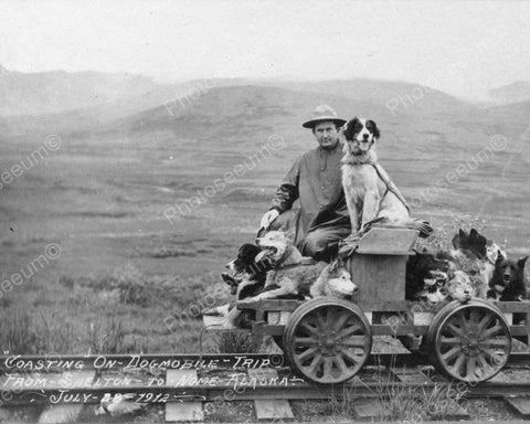 Dogmobile To Alaska 1912 Vintage 8x10 Reprint Of Old Photo - Photoseeum