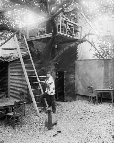 Tree House Cafe 1920s Vintage 8x10 Reprint Of Old Photo - Photoseeum