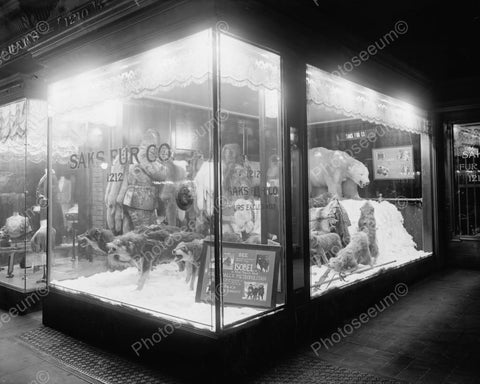 Saks Fur Co Window Display & Wolves 1900 8x10 Reprint Of Old Photo - Photoseeum
