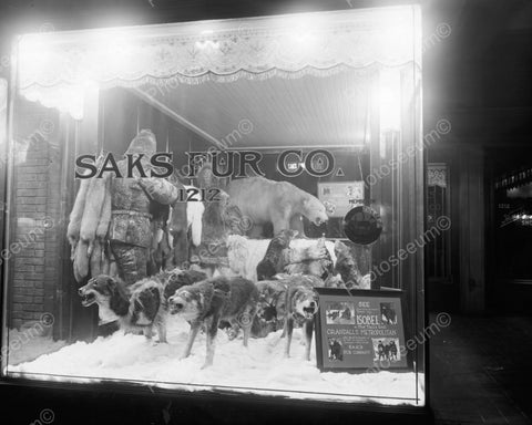 Saks Fur Co Window Wolves & Bear Growl 8x10 Reprint Of Old Photo - Photoseeum