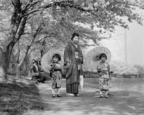Oriental Little Girls W Parasols Vintage 8x10 Reprint Of Old Photo - Photoseeum