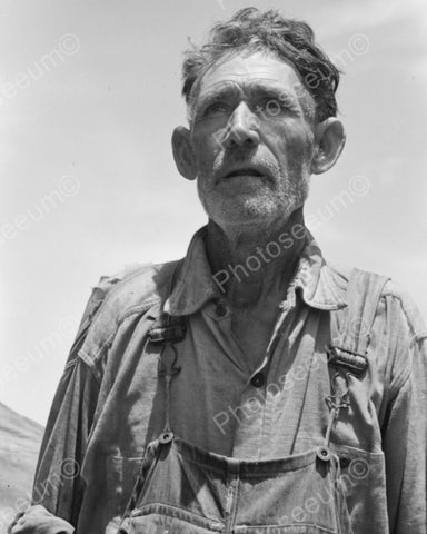 Farmer Looking At Crops 1939 Vintage 8x10 Reprint Of Old Photo - Photoseeum