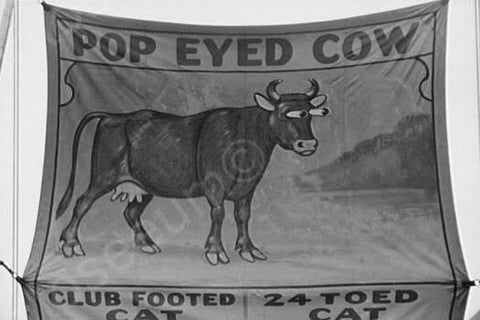 Vermont Sideshow Poster Pop Eyed Cow 1940 4x6 Reprint Of Old Photo - Photoseeum