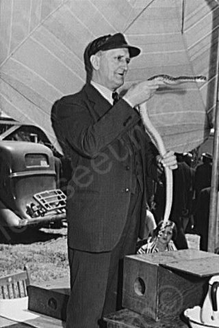 California Carnival Snake Charmer 4x6 Reprint Of 1940s Old Photo - Photoseeum
