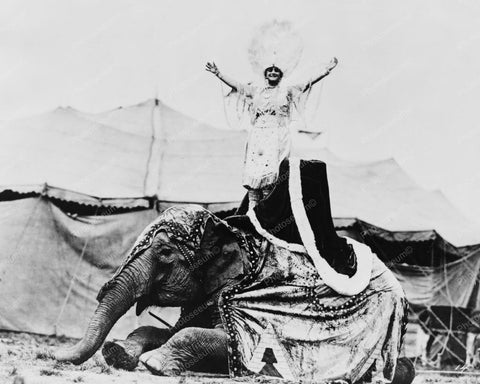 Circus Queen Standing On Elephant !1920s 8x10 Reprint Of Old Photo - Photoseeum