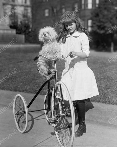 Girl With Dog On Tricycle 1917 Vintage 8x10 Reprint Of Old Photo 3 - Photoseeum
