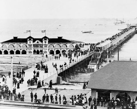 Birds Eye View Of Pier Long Beach C.A. 8x10 Reprint Of Old Photo - Photoseeum