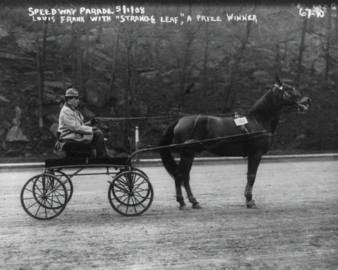 Horse & Buggy Parade Prize Winner 1908 Vintage 8x10 Reprint Of Old Photo - Photoseeum