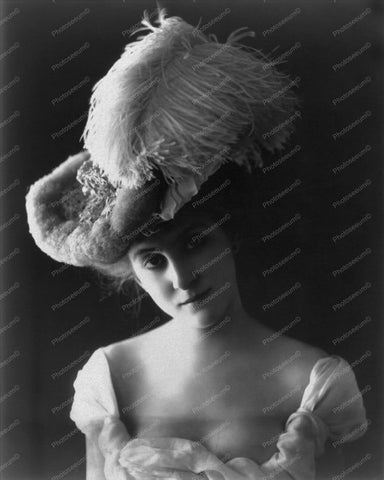 Victorian Woman In Plumed Hat Vintage 8x10 Reprint Of Old Photo - Photoseeum