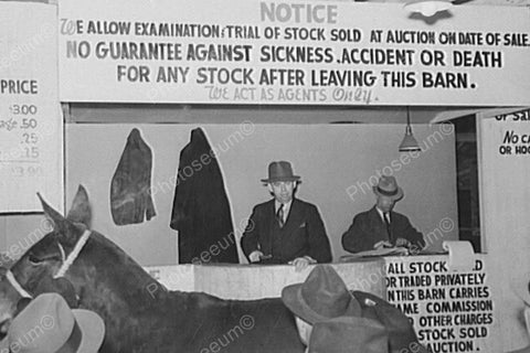 Livestock Animal Auction With Horse 1930s 4x6 Reprint Of Old Photo - Photoseeum