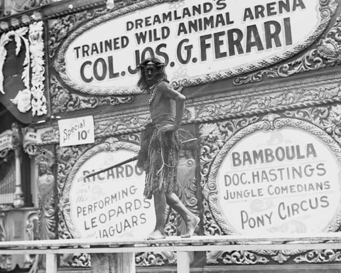 Coney Island Dreamland Animal Show 8x10 Reprint Of Old  Photo - Photoseeum