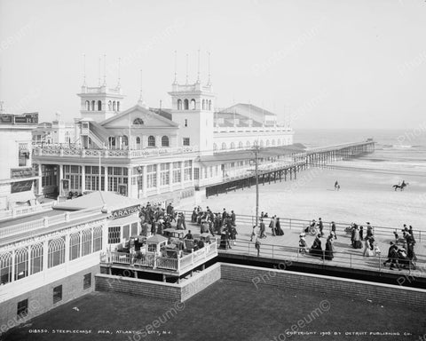 Steeplechase Pier Atlantic City 1905 Vintage 8x10 Reprint Of Old Photo - Photoseeum