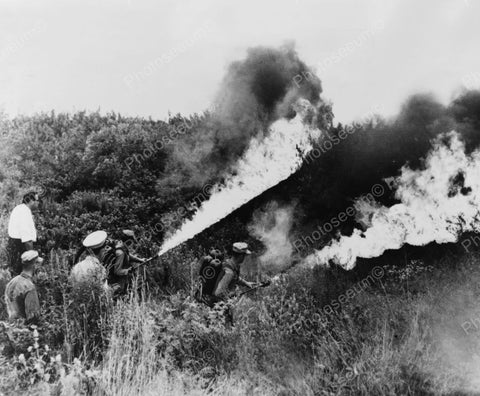 US Marines Destroy Marijuana Pot 1900s 8x10 Reprint Of Old Photo - Photoseeum