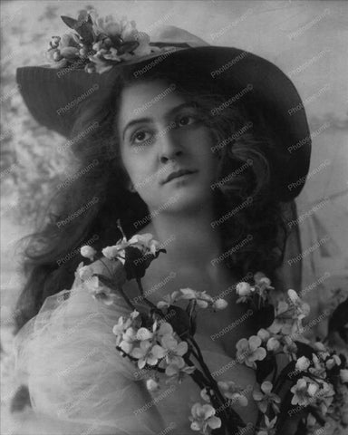 Victorian Lady In Brimmed Hat Portrait 8x10 Reprint Of Old Photo - Photoseeum