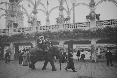 Coney Island NY Elephant Ride 1900s 4x6 Reprint Of Old Photo - Photoseeum
