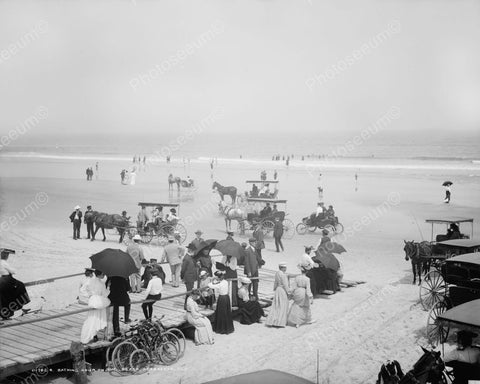 Florida Beach 1904 Vintage 8x10 Reprint Of Old Photo - Photoseeum