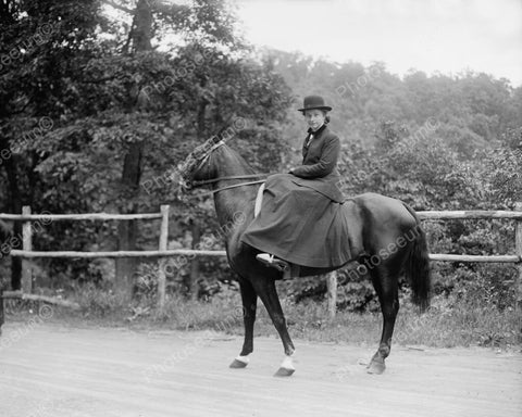 Equestrian Lady Rides Horse In Skirt! 8x10 Reprint Of Old Photo - Photoseeum
