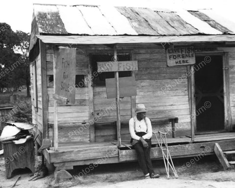 Live Fish For Sale Shack 8x10 Reprint Of Old Photo - Photoseeum