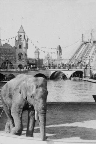 Coney Island Elephant at Luna Park 1900s 4x6 Reprint Of Old Photo - Photoseeum