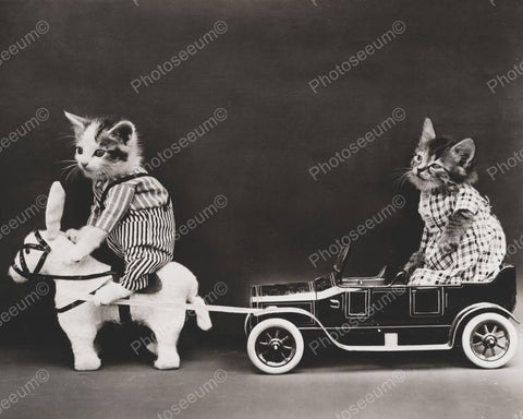 Cat Riding Donkey Car 1914  8x10 Reprint Of Old Photo - Photoseeum