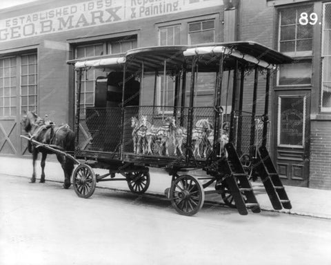 George B Marx Carousel Horse & Wagon NY 8x10 Reprint Of Old Photo - Photoseeum