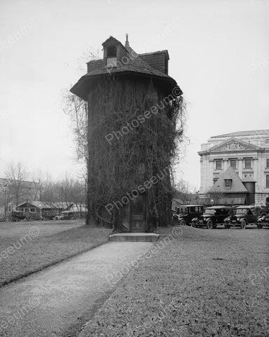 Tree Trunk House 1910  Vintage 8x10 Reprint Of Old Photo - Photoseeum