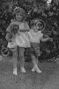 Adorable Children With Dog 1930s Old 4x6 Reprint Of Photo - Photoseeum