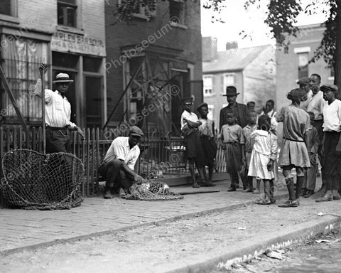 Dog Catcher W Dog In Net & Black Crowd 8x10 Reprint Of Old Photo - Photoseeum