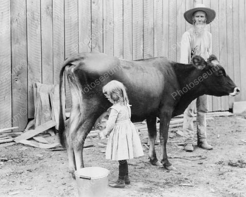 Little Girl Milks Cow As Old Man Watches 8x10 Reprint Of Old Photo - Photoseeum