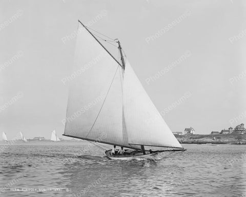 Sirocco Sailing Boat 1892 Vintage 8x10 Reprint Of Old Photo - Photoseeum