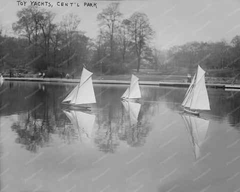 Toy Yachts Sail In Central Park! 8x10 Reprint Of Old Photo - Photoseeum