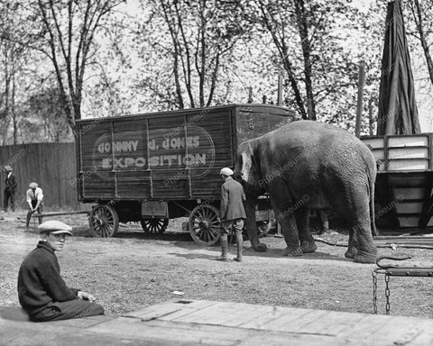 Johnny Jones Circus Elephant Nellie 1920s 8x10 Reprint Of Old Photo - Photoseeum
